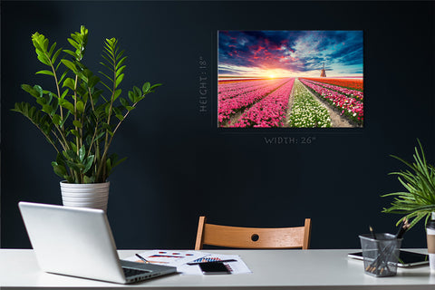 Canvas Print -  Field Of Tulips At Sunset #E0756