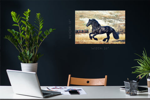 Canvas Print -  Black Noble Horse #E0921