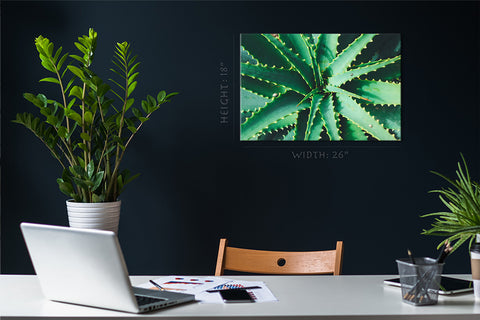 Canvas Print -  Green Aloe #E0703