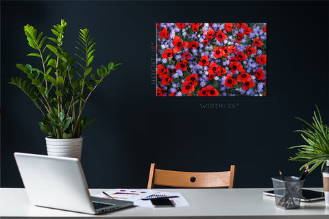 Impression sur toile - Champ de tulipes rouges et de fleurs violettes #E0671