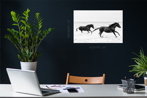 Canvas Print -  Two Horses Running On The Seashore #E0894