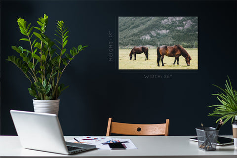 Canvas Print -  Two Horse In The Field #E0907