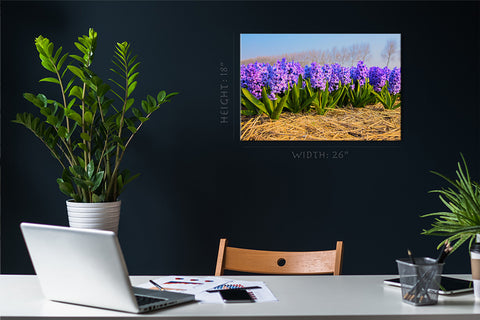 Canvas Print -  Blooming Hyacinths In Spring Forest #E0736