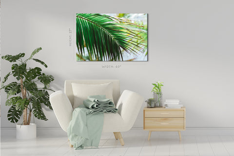 Canvas Print -  Morning Light At Green Palm Branch #E0714