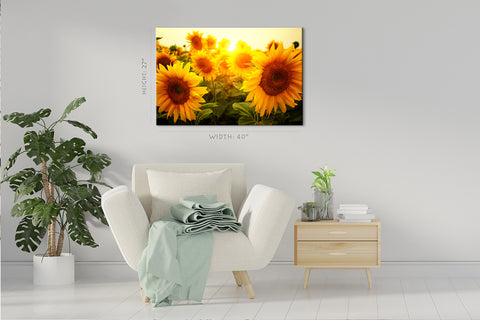 Impression sur toile - Champ de tournesols au lever du soleil #E0733