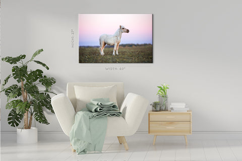 Canvas Print -  White Pony In Field At Sunset #E0956