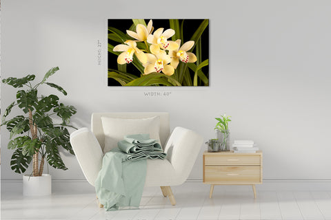 Canvas Print -  Beautiful Yellow Orchids #E0679