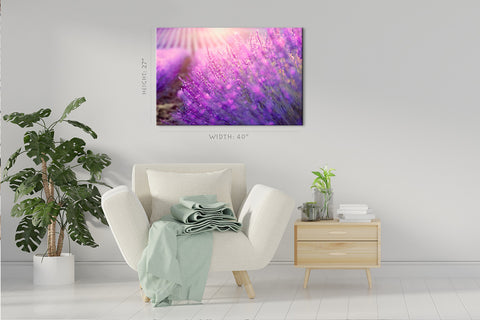 Impression sur toile - Fleurs de lavande en fleurs #E0791