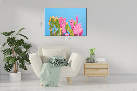 Impression Sur Toile - Cactus Vert Et Rose Sur Fond Bleu #E0810