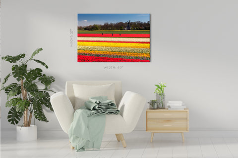 Canvas Print -  Field Of Tulips, Netherlands #E0748