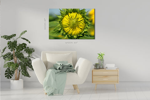 Impression sur toile - Tournesol en fleurs #E0695