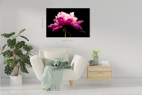 Canvas Print -  Pink Peony #E0692