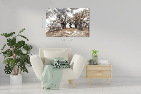 Canvas Print -  Baines Baobabs In Dry Kalahari Desert #E0991