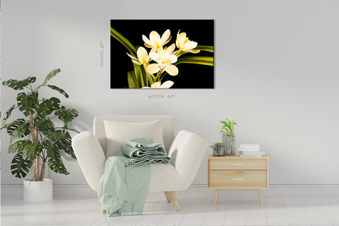 Canvas Print -  Magical Yellow Orchids #E0680