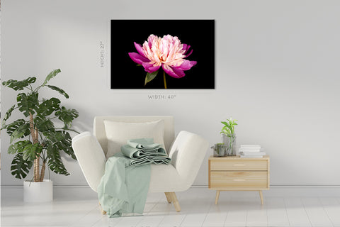 Canvas Print -  Wonderful Pink Peony #E0685