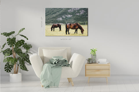 Canvas Print -  Two Horse In The Field #E0907