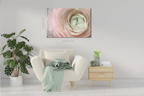 Canvas Print - Ranunculus Flower ، Macro Background #E0698