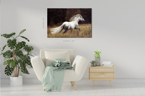 Canvas Print -  White Andalusian Stallion #E0915