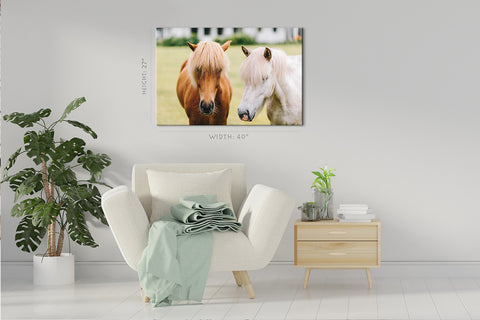 Impression sur toile - Portrait de beaux chevaux #E0908