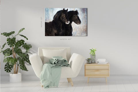 Canvas Print -  Portrait Of Two Black Horses In Winter #E0951