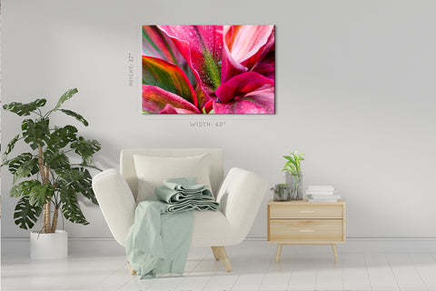 Impression sur toile - Fleur de broméliacées cramoisi #E0670