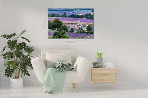 Canvas Print -  Lavender Fields, Provence Sault #E0782