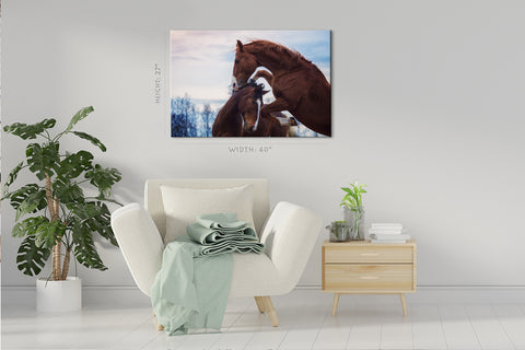 Canvas Print -  Portrait Of Two Playing Horses In Winter #E0917