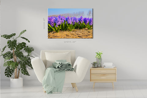 Canvas Print -  Blooming Hyacinths In Spring Forest #E0736