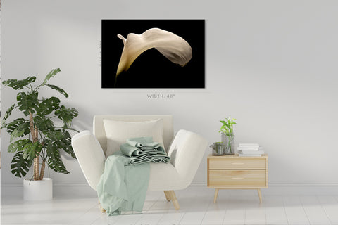 Canvas Print -  Big White Arum Lily #E0686