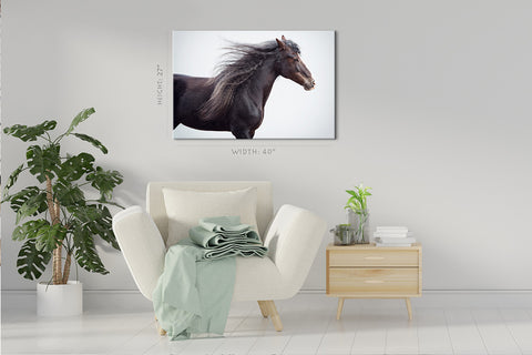 Impression sur toile - Portrait de cheval de trait #E0918