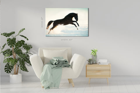 Canvas Print -  Black Noble Horse In Winter #E0952