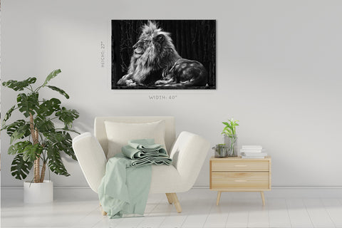 Canvas Print -  Noble Lion #E1028