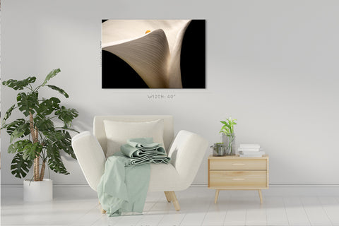 Canvas Print -  White Arum Lily #E0687