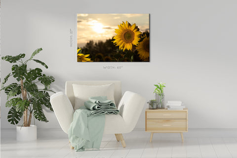 Canvas Print -  Close Up Of Sunflowers At Sunset #E0734