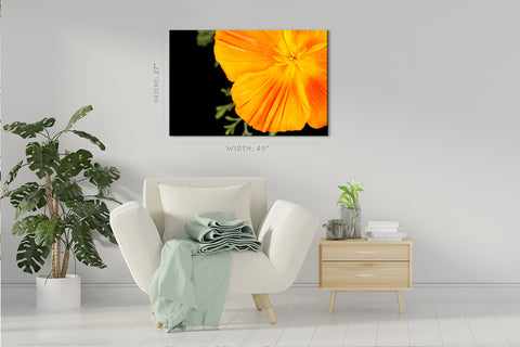 Canvas Print -  Orange Eschscholzia #E0677