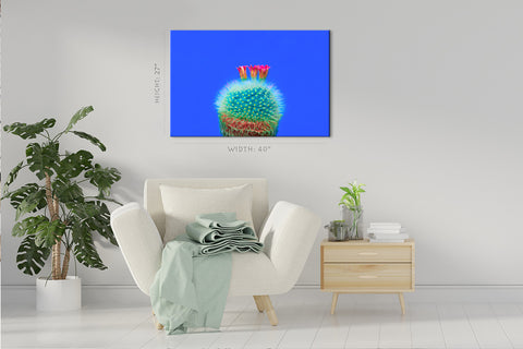 Canvas Print -  Blooming Cactus On Blue Background #E0809