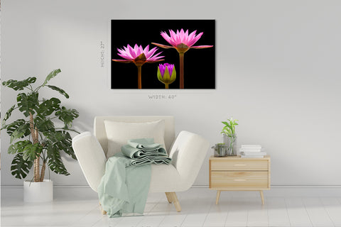 Canvas Print -  Incredible Water Lilies #E0667