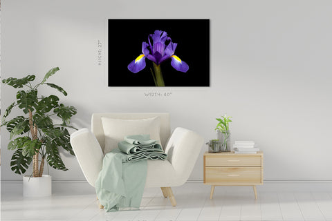 Impression sur toile - Iris violet #E0681