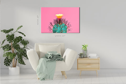 Canvas Print -  Blooming Cactus On Pink Background #E0805