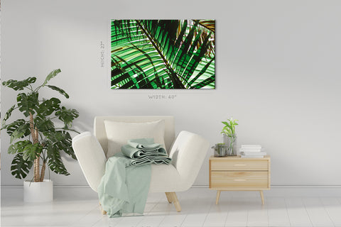 Canvas Print -  Green Palm Branch At Morning #E0725