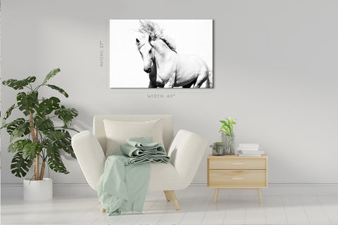 Impression sur toile - Cheval Arabe Blanc #E0911