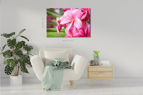 Impression sur toile - Plumeria rose en été #E0669