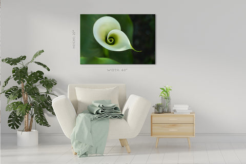 Impression sur toile - Belle calla blanche #E0659