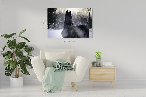 Canvas Print -  Black Horse On Snow #E0891