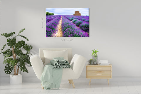 Canvas Print -  Lavender Field #E0758