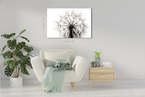 Canvas Print -  Beautiful Dandelion #E0815