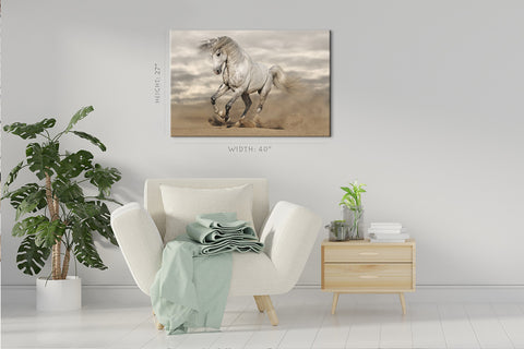 Impression sur toile - Cheval andalou dans le désert #E0890