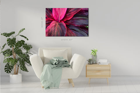 Impression sur toile - Feuilles de Spathiphyllum Cannifolium #E0646