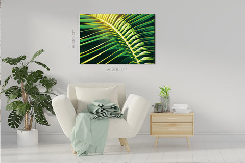 Canvas Print -  Sunlight Shining On Tropical Palm Leaf #E0641