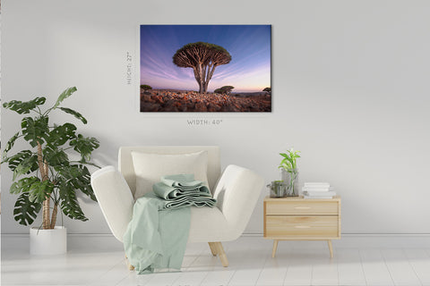 Impression sur toile - Arbre de sang de dragon au lever du soleil #E0963